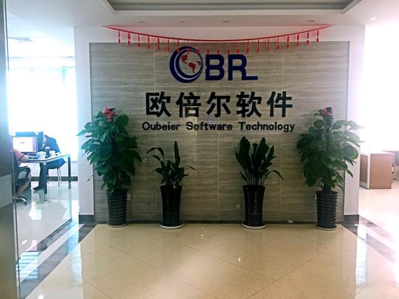 软件定制开发：企业数字化转型的灯塔